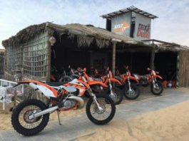 Motorcycle Rental In Dubai And Abu Dhabi - BNM