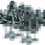 Desmosedici-valves-2