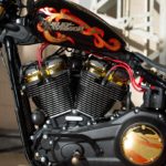 Liquid-Gold-Battle-Of-The-Kings-Harley-Davidson-Northern-Emirates