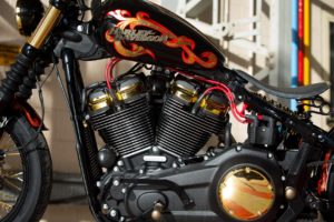 Liquid-Gold-Battle-Of-The-Kings-Harley-Davidson-Northern-Emirates