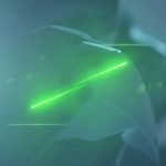 Kawasaki Ultimate Z-uae-dubai