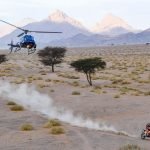 Dakar 2020-stage 4-uae-dubai (2)