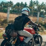 The Lost Tusk-Kerela-uae-dubai (10)