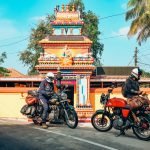 The Lost Tusk-Kerela-uae-dubai (14)