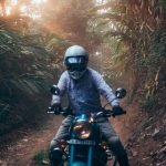 The Lost Tusk-Kerela-uae-dubai (22)