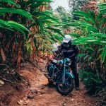 The Lost Tusk-Kerela-uae-dubai (23)