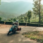 The Lost Tusk-Kerela-uae-dubai (27)