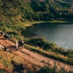 The Lost Tusk-Kerela-uae-dubai (28)