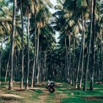 The Lost Tusk-Kerela-uae-dubai (31)