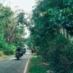 The Lost Tusk-Kerela-uae-dubai (32)