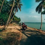 The Lost Tusk-Kerela-uae-dubai (35)