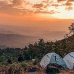 The Lost Tusk-Kerela-uae-dubai (48)