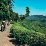 The Lost Tusk-Kerela-uae-dubai (6)