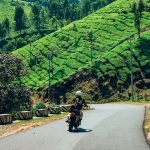 The Lost Tusk-Kerela-uae-dubai (8)