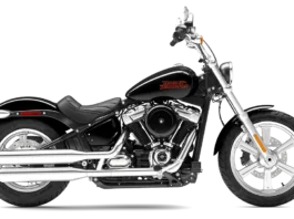 Softail Standard,  Photos