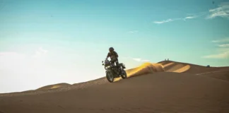 Pedrero HD 1000 Dunasjpg