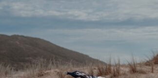 Holy Moly’s Baja Kit for Yamaha Tenere 700